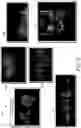Fig. 07 - Multi-resolution color-based image search