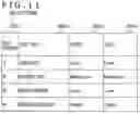 Fig. 13 - Risk evaluation and countermeasure planning system, and risk evaluation and countermeasure planning method
