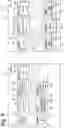 Fig. 09 - SECURE INTEGRATED CIRCUIT ARCHITECTURE