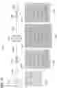 Fig. 22 - ENTITY TYPE TEMPLATES IN PROCESS SIMULATION