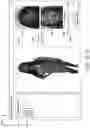 Fig. 21 - Identity obfuscation in images utilizing synthesized faces
