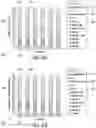 Fig. 10 - SYSTEM AND METHOD FOR THREE DIMENSIONAL OBJECT COUNTING
