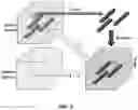 Fig. 04 - TEMPORAL KNOWLEDGE DISTILLATION FOR ACTIVE PERCEPTION