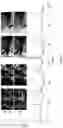 Fig. 05 - TEMPORAL KNOWLEDGE DISTILLATION FOR ACTIVE PERCEPTION