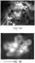 Fig. 05 - SYSTEMS, SOFTWARE AND METHODS FOR GENERATING TRAINING DATASETS FOR MACHINE LEARNING APPLICATIONS