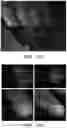 Fig. 18 - SYSTEMS, SOFTWARE AND METHODS FOR GENERATING TRAINING DATASETS FOR MACHINE LEARNING APPLICATIONS