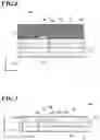 Fig. 04 - RFID TAG
