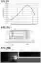 Fig. 15 - RFID TAG