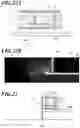 Fig. 17 - RFID TAG