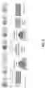 Fig. 07 - METHODS AND SYSTEMS FOR GENERATING UNCLONABLE OPTICAL TAGS