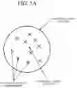 Fig. 06 - METHOD AND APPARATUS FOR ANONYMIZING PERSONAL INFORMATION
