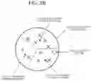 Fig. 07 - METHOD AND APPARATUS FOR ANONYMIZING PERSONAL INFORMATION