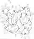 Fig. 01 - Organizing neural networks