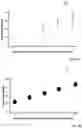 Fig. 07 - Organizing neural networks