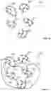 Fig. 15 - Organizing neural networks