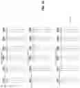 Fig. 34 - HARDWARE ACCELERATOR TEMPLATE AND DESIGN FRAMEWORK FOR IMPLEMENTING RECURRENT NEURAL NETWORKS