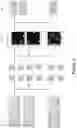 Fig. 04 - IDENTIFYING NEURAL NETWORKS THAT GENERATE DISENTANGLED REPRESENTATIONS