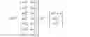Fig. 24 - NON-HOMOGENEOUS MACHINE LEARNING ARCHITECTURE FOR APPROXIMATING AN OVERALL FUNCTION AND TRAINING METHOD THEREOF