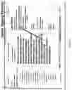 Fig. 232 - CONTROL SYSTEM
