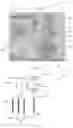 Fig. 09 - Qubit circuits with deep, in-substrate components