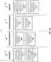 Fig. 12 - IDENTIFYING FRAUDULENT INSTRUMENTS AND IDENTIFICATION