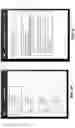 Fig. 11 - System and method for real-time promotional demand management utilizing mobile e-commerce sales leads