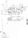 Fig. 42 - Selective treatment of shopping receptacles in checkout