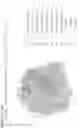Fig. 94 - Systems and methods for using SKU vector information