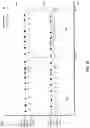 Fig. 49 - Visual indicator of frictionless status of retail shelves