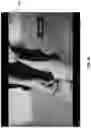 Fig. 06 - INTEGRATING SHOPPING CART INTO A VIDEO