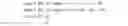 Fig. 13 - Apparatus, method and system for a versatile financial mechanism and transaction generator and interface