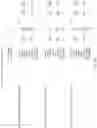 Fig. 61 - Apparatus, method and system for a versatile financial mechanism and transaction generator and interface