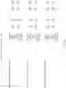 Fig. 67 - Apparatus, method and system for a versatile financial mechanism and transaction generator and interface