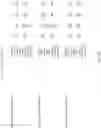 Fig. 74 - Apparatus, method and system for a versatile financial mechanism and transaction generator and interface