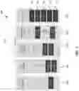 Fig. 09 - Dependent dimensions