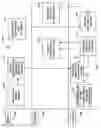 Fig. 15 - METHOD FOR ESTABLISHING AND MAINTAINING A DIGITAL FAMILY AND FRIENDS TREE