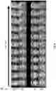 Fig. 11 - Attribute decorrelation techniques for image editing