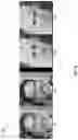Fig. 16 - Attribute decorrelation techniques for image editing