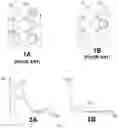 Fig. 02 - Device for characterizing and comparing erythemal zones