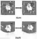 Fig. 09 - User interface for video analysis