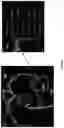 Fig. 29 - Systems, methods, and devices for medical image analysis, diagnosis, risk stratification, decision making and/or disease tracking