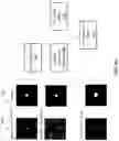 Fig. 13 - Techniques for determining tissue characteristics using multiplexed immunofluorescence imaging