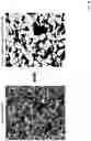 Fig. 19 - Techniques for determining tissue characteristics using multiplexed immunofluorescence imaging