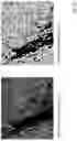 Fig. 23 - Techniques for determining tissue characteristics using multiplexed immunofluorescence imaging