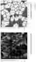 Fig. 24 - Techniques for determining tissue characteristics using multiplexed immunofluorescence imaging