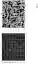 Fig. 27 - Techniques for determining tissue characteristics using multiplexed immunofluorescence imaging