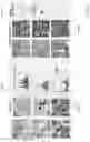 Fig. 33 - Techniques for determining tissue characteristics using multiplexed immunofluorescence imaging
