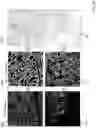 Fig. 38 - Techniques for determining tissue characteristics using multiplexed immunofluorescence imaging