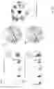 Fig. 53 - Techniques for determining tissue characteristics using multiplexed immunofluorescence imaging