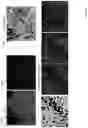 Fig. 57 - Techniques for determining tissue characteristics using multiplexed immunofluorescence imaging